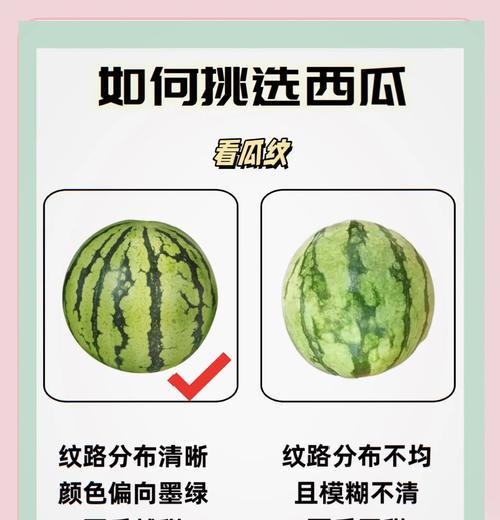 如何判断西瓜是否成熟（揭开西瓜成熟的5个关键特征）  第1张