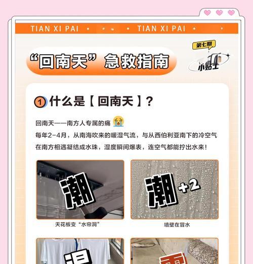 南天地面潮湿处理方法（让你的家庭舒适干爽的实用技巧）  第3张