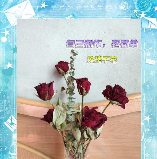 如何将鲜花变成干花保存（教你步步为营做出美丽干花）  第1张