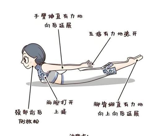 如何增强女性腰部力量（全面训练）  第2张