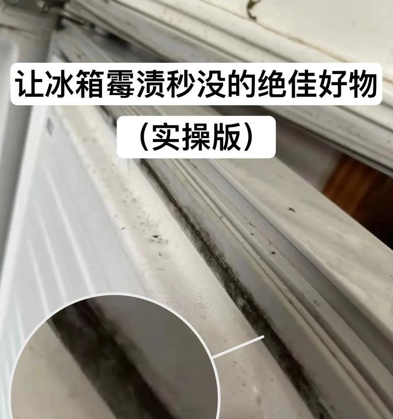 如何彻底清洗发霉的冰箱胶条（去除发霉）  第2张