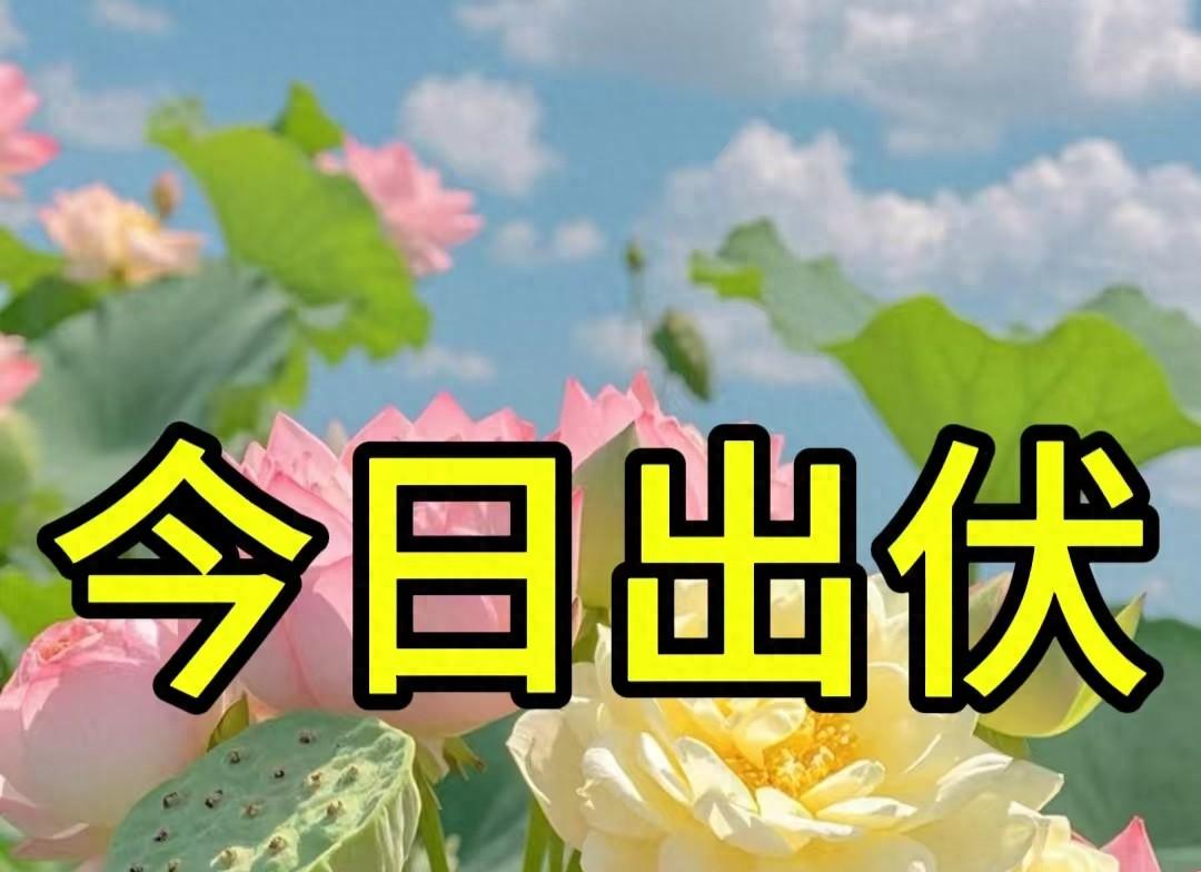 今日出伏，今年伏后有3个特点，2个要注意，提前了解早做准备  第1张