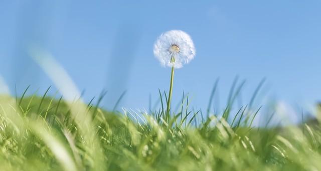 广东迎来好消息！雨水逐步开始减弱，气温开始回升！具体时间已定  第6张