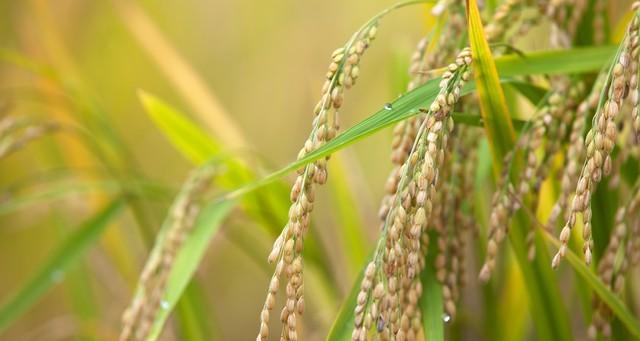 广东迎来好消息！雨水逐步开始减弱，气温开始回升！具体时间已定  第8张