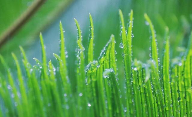 河南！局部有大雨大暴雨！具体位置分布如下！未来几天的天气预报  第4张
