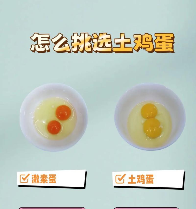 如何辨别土鸡蛋和饲养的鸡蛋（分辨土鸡蛋和饲养的鸡蛋的方法及其背后的故事）  第2张