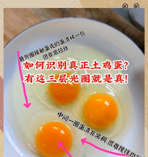 如何辨别土鸡蛋和饲养的鸡蛋（分辨土鸡蛋和饲养的鸡蛋的方法及其背后的故事）  第3张