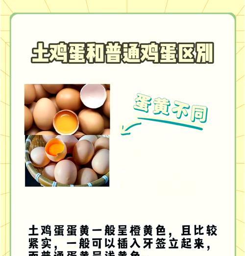 如何辨别土鸡蛋和饲养的鸡蛋（分辨土鸡蛋和饲养的鸡蛋的方法及其背后的故事）  第1张