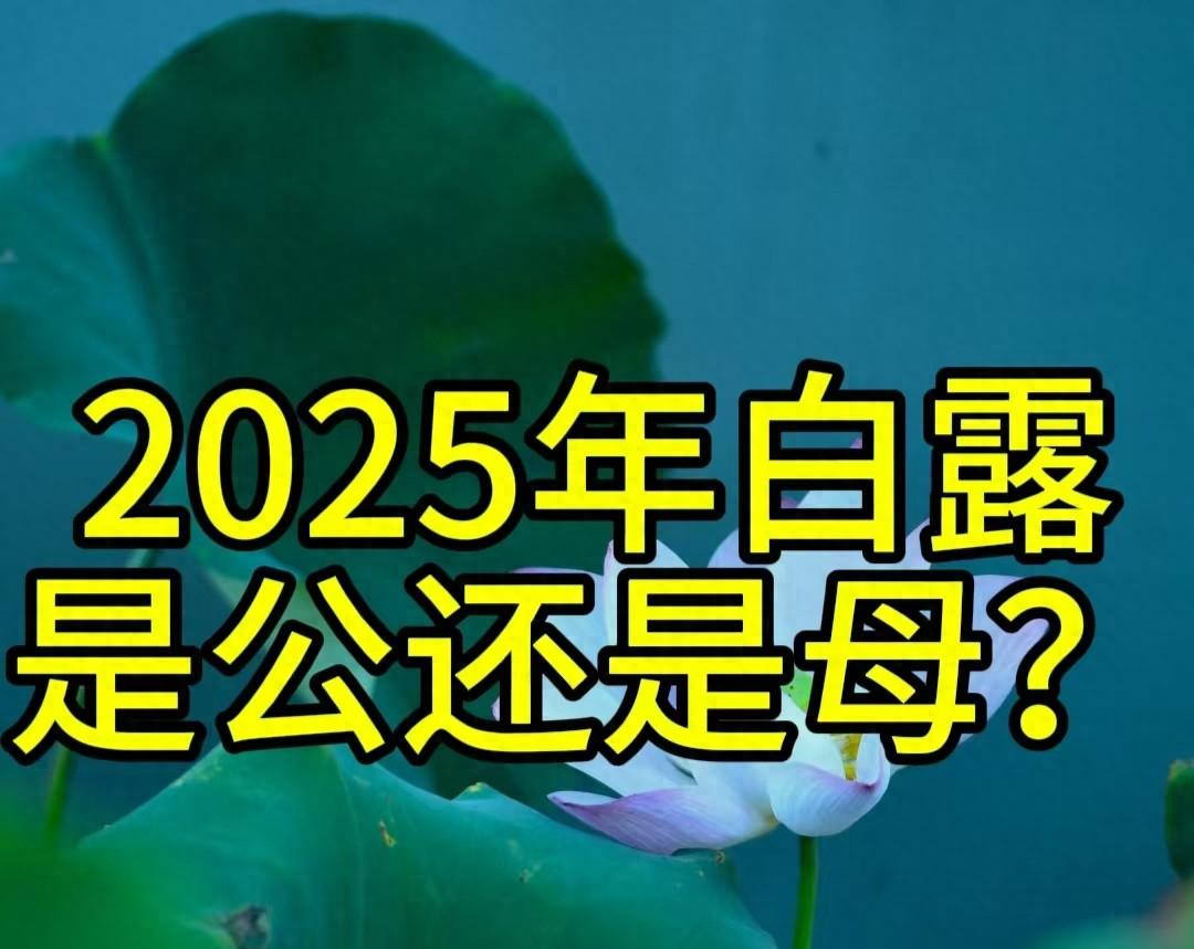 “公白露丢，母白露收”，2025年白露是公还是母？庄稼收成好不？  第1张