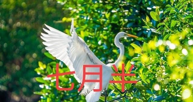 “冷不冷，就看七月半”，明日七月半，今冬会冷到哭？看农谚咋说  第3张