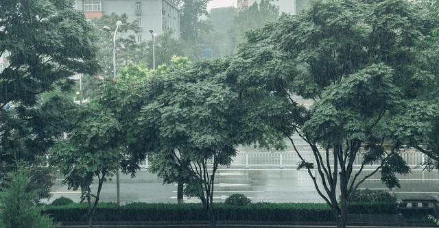 7号～9号！台风来到影响多大？大雨大暴雨遍地开花，中心位置已定  第8张