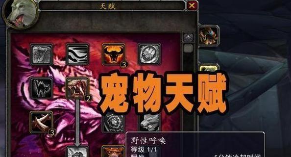 《猎人必看！魔兽世界宠物大全及获取方式详解》  第1张